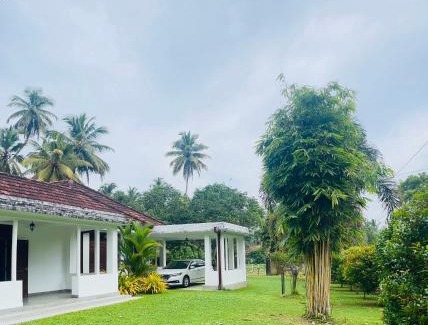 Kosgoda Hotel | Terance Bungalow- Kosgoda