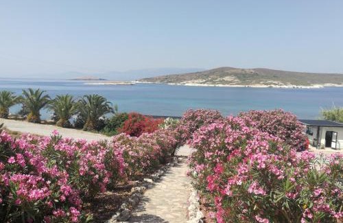 Foca House | Teras Motel