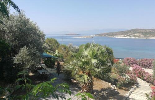 Foca House | Teras Motel