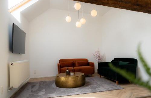 Jumet Apartment | Terminal C - Rosée Stopover