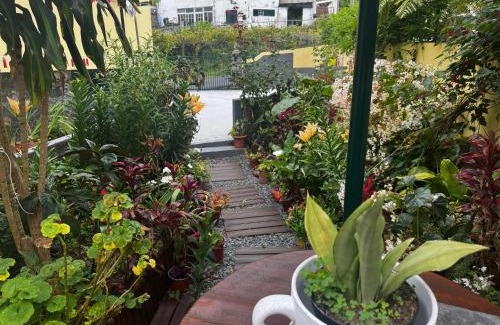 Sao Vicente House | Terra Chã Cottage,FEEL Home,