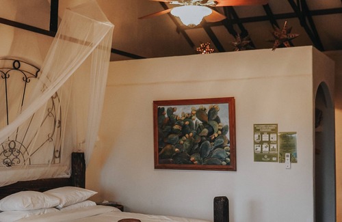 Valle de Guadalupe Bed & Breakfast | TERRA DEL VALLE BED & BREAKFAST