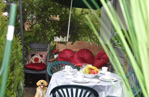 Schoenefeld Apartment | TerraceOasisBerlinAirport