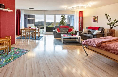 Schonach im Schwarzwald Apartment | Terrassenpark Schonach App 161