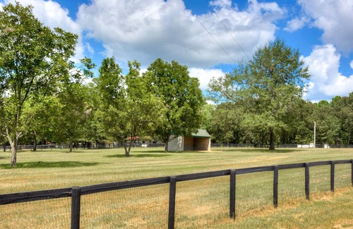 Aiken Apartment | Terrific Apartment on Top of Barn, Beautiful, quiet and dog friendly!