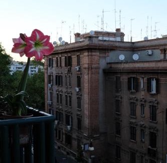 Testaccio House | Testaccio Room in Rome
