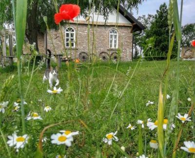Novi Sad House | Tetrebov salas in the peaceful fields