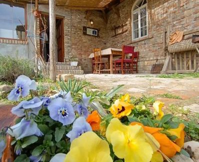 Novi Sad House | Tetrebov salas in the peaceful fields