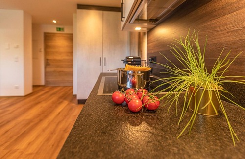 Schuttdorf Apartment | Tevini Boutique Suites - Apartment Earth