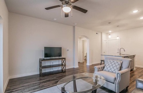 Elmo Apartment | Texas Corporate Housing Solutions Professional Apt