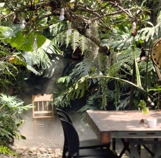 Bao Loc House | Thỏ Non Garden - Bảo Lộc Center 02