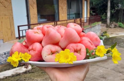 Mai Chau House | Thao Ly Homestay Mai Chau