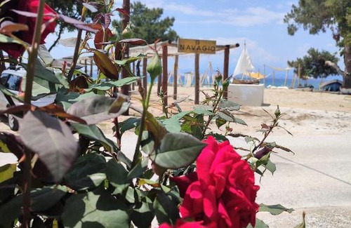 Ormos Prinou Apartment | Thasos Blue Apartments