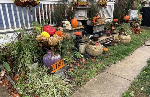 West End House | The African Zen Oasis! A cozy home w/beautiful decor and outdoor zen garden.