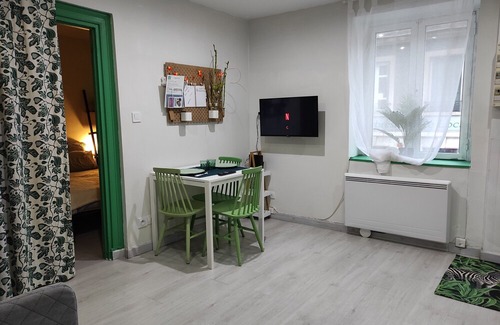 L'Arbresle Apartment | The apartment & green T2 🐈🐕ok. 5 min in 🚗 la Pérollière training center