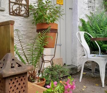 Calstock Apartment | The Artist's Retreat