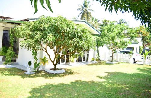 Seeduwa - Katunayake House | The Bamboo Tree Transit Hotel