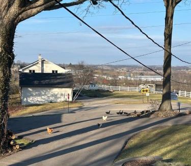 Millersburg Apartment | The Barn at Sharp Run-Modern Barn in the heart of Amish Country