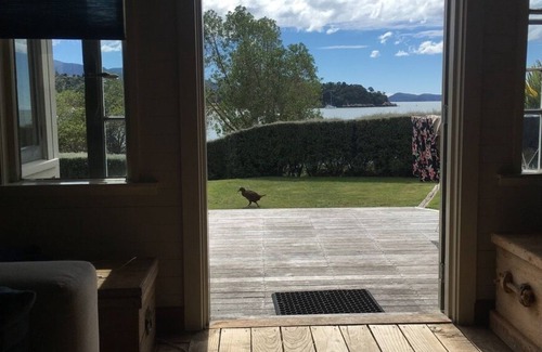 Ngaio Bay Cottage | The Beachfront Bach of Kaiteriteri