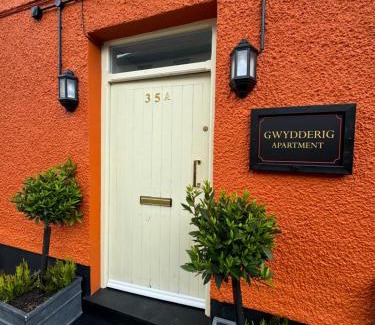 Llandovery Apartment | The Bear Apartments