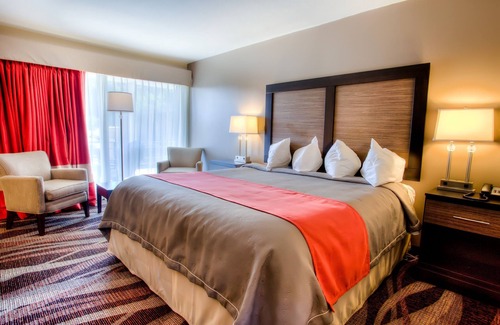 Asheville Hotel | The Beaucatcher – A Boutique Motel