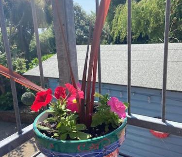 Goodwick Apartment | The Bedsit