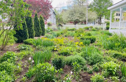 Camden Bed & Breakfast | The Belmont Inn