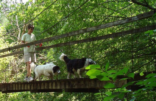 Lynchburg Cottage | The Bent Branch Lodge - A Gnomes Retreat – Historic Virginia Log Cabin, Coy Pond & Babbling B...