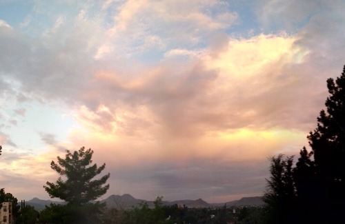 Alpine House | The Birdnest, Views, Hike, Bike, Walk, See The TX Mountains