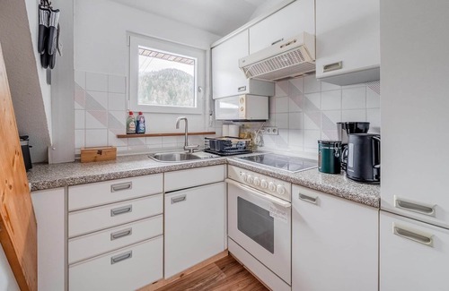 Bad Rippoldsau-Schapbach Apartment | The Black Forest on your doorstep - ideal for groups of family and friends