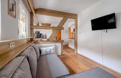 Bad Rippoldsau-Schapbach Apartment | The Black Forest on your doorstep - ideal for groups of family and friends