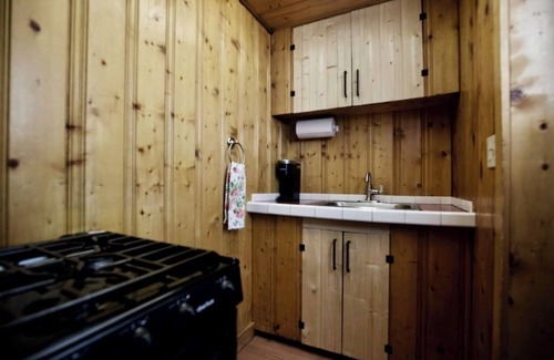 Lake City Cabin | The Blanketflower Cabin with Mountain Views