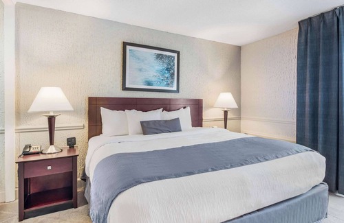 Blue Ash Hotel | The Blu Hotel Blue Ash Cincinnati, an Ascend Collection Hotel