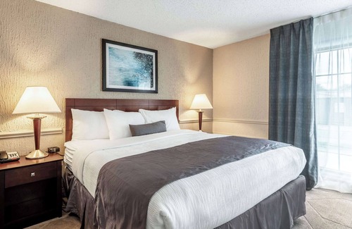 Blue Ash Hotel | The Blu Hotel Blue Ash Cincinnati, an Ascend Collection Hotel