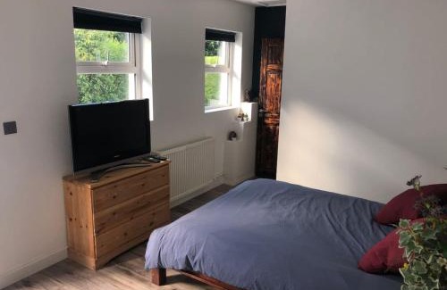 Belfast Apartment | The Blue Garden Flat
