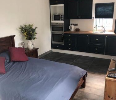 Belfast Apartment | The Blue Garden Flat