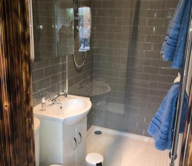 Belfast Apartment | The Blue Garden Flat