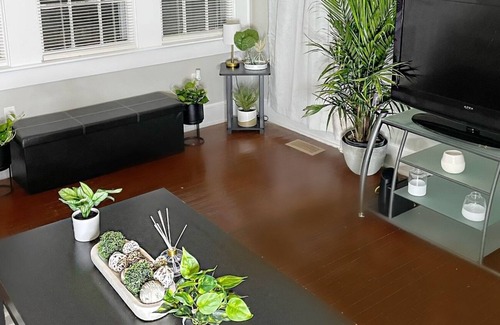 Fayetteville House | The Boho House 5 minutes from Downtown Fayetteville