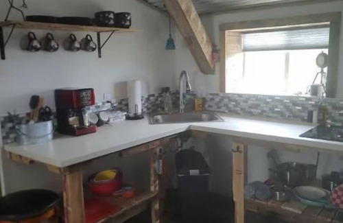 Bandera Apartment | The Boulderdash Bird House studio apt! Wonderful tree top setting, in nature!