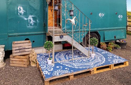 Oving House | The Box - Oasis Farm