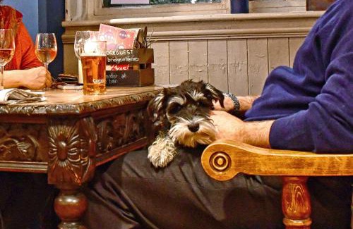 Barnes Hotel | The Bridge Pub & Rooms