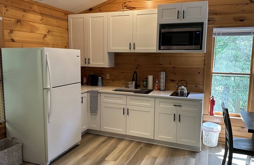 Black Mountain Cabin | The Bridge Retreat w/game room