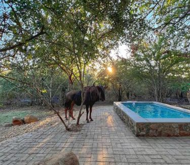 Marloth Park Villa | The Bush House Kruger