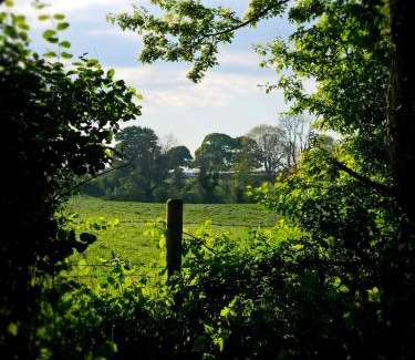 Coleraine House | The Byre At Springbank