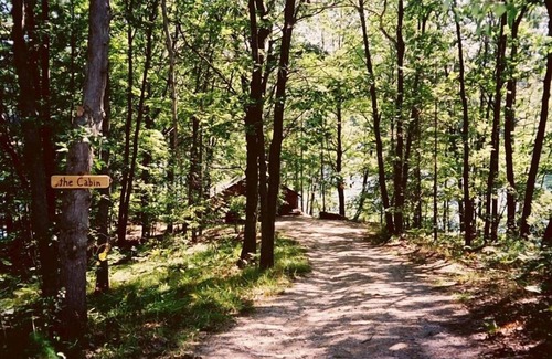 Mayfield Cabin | The Cabin on Chandler Lake in Traverse City, Mi