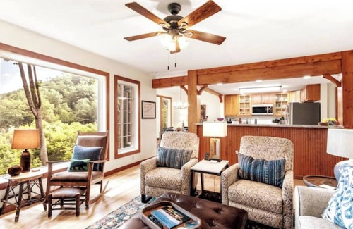 Mountain Air Condo | The Camp - Luxe Blue Ridge Condo
