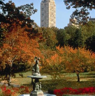 Uptown Hotel | The Carlyle, A Rosewood Hotel