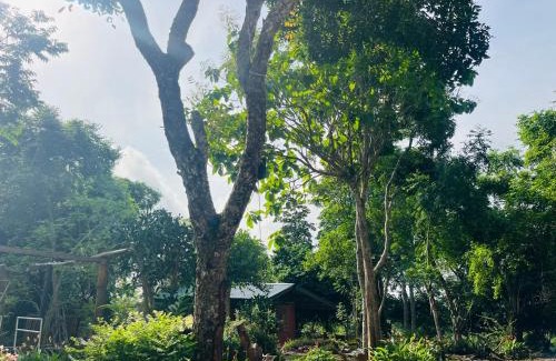 Nungua Cabin | The Cave Suite