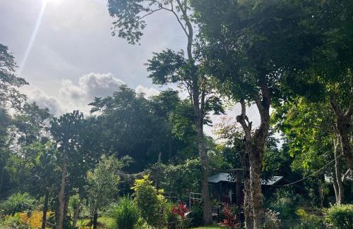 Nungua Cabin | The Cave Suite