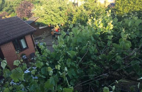 Nuneaton Bed & Breakfast | The Cedars House B&B